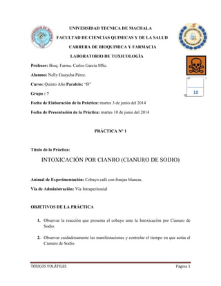 TÓXICOS VOLÁTILES Página 1
UNIVERSIDAD TECNICA DE MACHALA
FACULTAD DE CIENCIAS QUIMICAS Y DE LA SALUD
CARRERA DE BIOQUIMICA Y FARMACIA
LABORATORIO DE TOXICOLOGÍA
Profesor: Bioq. Farma. Carlos García MSc.
Alumno: Nelly Guaycha Pérez.
Curso: Quinto Año Paralelo: “B”
Grupo : 7
Fecha de Elaboración de la Práctica: martes 3 de junio del 2014
Fecha de Presentación de la Práctica: martes 10 de junio del 2014
PRÁCTICA N° 1
Título de la Práctica:
INTOXICACIÓN POR CIANRO (CIANURO DE SODIO)
Animal de Experimentación: Cobayo café con franjas blancas.
Vía de Administración: Vía Intraperitonial
OBJETIVOS DE LA PRÁCTICA
1. Observar la reacción que presenta el cobayo ante la Intoxicación por Cianuro de
Sodio.
2. Observar cuidadosamente las manifestaciones y controlar el tiempo en que actúa el
Cianuro de Sodio.
10
 