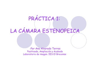 PRÁCTICA 1:

LA CÁMARA ESTENOPEICA


        -Por Ana Alvarado Torres
      Positivado, Ampliación y Acabado
   Laboratorio de imagen. IES El Brocense
                       
 