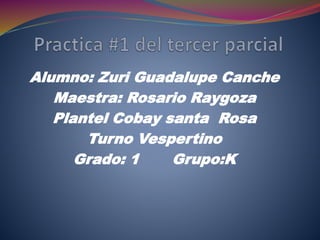 Alumno: Zuri Guadalupe Canche
Maestra: Rosario Raygoza
Plantel Cobay santa Rosa
Turno Vespertino
Grado: 1 Grupo:K
 
