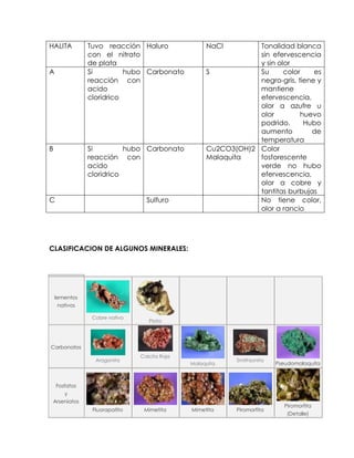 HALITA         Tuvo reacción Haluro                NaCl        Tonalidad blanca
               con el nitrato                                  sin efervescencia
               de plata                                        y sin olor
A              Si         hubo Carbonato           S           Su      color    es
               reacción con                                    negro-gris, tiene y
               acido                                           mantiene
               cloridrico                                      efervescencia,
                                                               olor a azufre u
                                                               olor         huevo
                                                               podrido.      Hubo
                                                               aumento         de
                                                               temperatura
B              Si         hubo Carbonato           Cu2CO3(OH)2 Color
               reacción con                        Malaquita   fosforescente
               acido                                           verde no hubo
               cloridrico                                      efervescencia,
                                                               olor a cobre y
                                                               tantitas burbujas
C                                Sulfuro                       No tiene color,
                                                               olor a rancio




CLASIFICACION DE ALGUNOS MINERALES:




    lementos
    nativos

                Cobre nativo
                                  Plata




Carbonatos
                               Calcita Roja
                 Aragonita                                 Smithsonita
                                              Malaquita                  Pseudomalaquita



    Fosfatos
     y
 Arseniatos
                                                                           Piromorfita
                Fluorapatito    Mimetita      Mimetita     Piromorfita
                                                                            (Detalle)
 