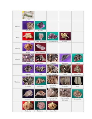 Apatito



Haluros


             Fluorita        Fluorita



Óxidos


             Cuarzo      Cuarzo Amatista    Cuarzo Amatista      Cuarzo



Sulfatos


              Barita      Yeso (Selenita)



Sulfuros


             Bornita        Esfalerita         Esfalerita        Estibinita     Galena




             Galena            Pirita        Pirita (Detalle)      Pirita     Marcasita




Silicatos

                                               Actinolita
            Actinolita      Actinolita                           Actinolita      Berilo
                                                (Detalle)




                                              Hemimorfita       Hemimorfita
            Escolecita     Hemimorfita                                        Clinozoisita
                                               (Detalle)         (Detalle)




            Rodonita        Rodonita           Rodonita
 