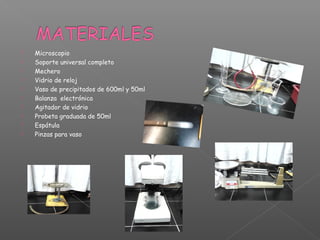    Microscopio
   Soporte universal completo
   Mechero
   Vidrio de reloj
   Vaso de precipitados de 600ml y 50ml
   Balanza electrónica
   Agitador de vidrio
   Probeta graduada de 50ml
   Espátula
   Pinzas para vaso
 