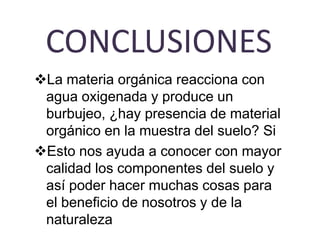 CONCLUSIONES
La materia orgánica reacciona con
 agua oxigenada y produce un
 burbujeo, ¿hay presencia de material
 orgánico en la muestra del suelo? Si
Esto nos ayuda a conocer con mayor
 calidad los componentes del suelo y
 así poder hacer muchas cosas para
 el beneficio de nosotros y de la
 naturaleza
 