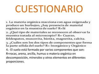 CUESTIONARIO


4.- El suelo está formado por varios componentes que son:
R=rocas, arena, arcilla, humus o materia orgánica en
descomposición, minerales y otros elementos en diferentes
proporciones.
 