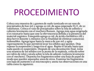 PROCEDIMIENTO
 