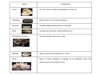 Mineral                                         Características


Cuarzo                    Sin color y de forma irregular, semeja pedazos de vidrio roto




Feldespatos               Blanco lechoso o rosa con formas irregulares


Muscovita                 Laminillas delgadas transparentes o de color pálido


Biotita                   Laminillas color café oscuro, refleja fuertemente la luz


Hormablenda y Piroxenos   Gránulos irregulares verde oscuro a negro




Magnetita                 Negra, se puede remover fácilmente con un imán


Calcita                   Blanca en formas irregulares, se distingue de los feldespatos porque hace

                          efervescencia con ácido clorhídrico (HCl)
 