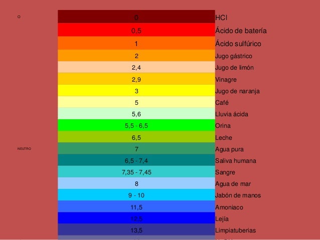 PRACTICA DOS BIOQUIMICA