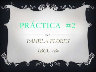PRÁCTICA #2
PAMELA FLORES
1BGU «B»

 