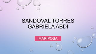 SANDOVAL TORRES
GABRIELA ABDI
MARIPOSA

 