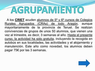 A los CRIET acuden alumnos de 5º y 6º cursos de Colegios
Rurales Agrupados (CRAs) de todo Aragón, aunque
mayoritariamente de la provincia de Teruel. Se realizan
convivencias de grupos de unos 50 alumnos, que vienen una
vez al trimestre, es decir, 3 semanas al año. Hasta el presente
curso, la actividad ha sido gratuita, incluyendo la recogida en
autobús en sus localidades, las actividades y el alojamiento y
manutención. Este año como novedad, los alumnos deben
pagar 75€ por las 3 semanas.
 