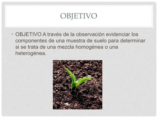 OBJETIVO
• OBJETIVO A través de la observación evidenciar los
componentes de una muestra de suelo para determinar
si se trata de una mezcla homogénea o una
heterogénea.
 
