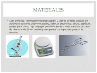 MATERIALES
• Lata cilíndrica, microscopio estereoscópico, 2 vidrios de reloj, cápsula de
porcelana aguja de disección, gotero, balanza electrónica, estufa, espátula,
pinzas para crisol, hoja de papel periódico, tamiz o malla metálica de 2 mm
de abertura (de 20 cm de lado) y recipiente con tapa para guardar la
muestra.
 