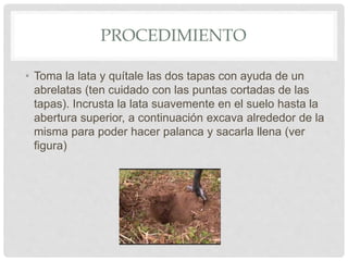 PROCEDIMIENTO
• Toma la lata y quítale las dos tapas con ayuda de un
abrelatas (ten cuidado con las puntas cortadas de las
tapas). Incrusta la lata suavemente en el suelo hasta la
abertura superior, a continuación excava alrededor de la
misma para poder hacer palanca y sacarla llena (ver
figura)
 