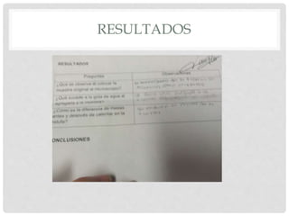 RESULTADOS
 