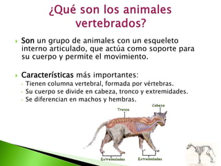 Animales vertebrados | PPTX