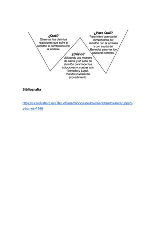 Bibliografía
https://es.slideshare.net/TheLolCore/zoologa-de-los-invertebrados-6ed-ruppert-
y-barnes-1996
 