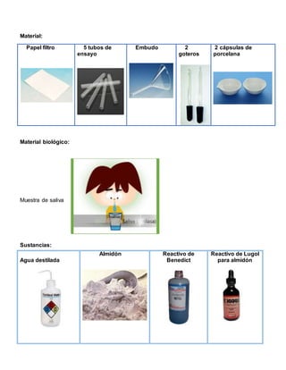 Material:
Material biológico:
Muestra de saliva
Sustancias:
Papel filtro 5 tubos de
ensayo
Embudo 2
goteros
2 cápsulas de
porcelana
Agua destilada
Almidón Reactivo de
Benedict
Reactivo de Lugol
para almidón
 