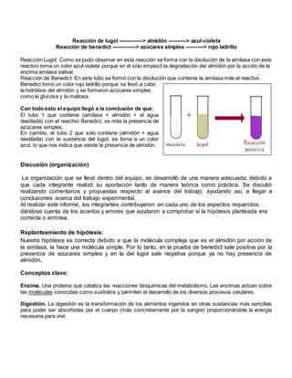 Reacción de lugol -------------> almidón ----------> azul-violeta
Reacción de benedict -------------> azúcares simples ----------> rojo ladrillo
Reacción Lugol: Como se pudo observar en esta reacción se forma con la disolución de la amilasa con este
reactivo toma un color azul-violeta porque en él solo empezó la degradación del almidón por la acción de la
enzima amilasa salival.
Reacción de Benedict: En este tubo se formó con la disolución que contenía la amilasa más el reactivo
Benedict tomó un color rojo ladrillo porque se llevó a cabo
la hidrólisis del almidón y se formaron azúcares simples
como la glucosa y la maltosa.
Con todo esto el equipo llegó a la conclusión de que:
El tubo 1 que contiene (amilasa + almidón + el agua
destilada) con el reactivo Benedict, se nota la presencia de
azúcares simples.
En cambio, el tubo 2 que solo contiene (almidón + agua
destilada) con la sustancia del lugol, se torna a un color
azul, lo que nos indica que existe la presencia de almidón.
Discusión (organización)
La organización que se llevó dentro del equipo, se desarrolló de una manera adecuada, debido a
que cada integrante realizó su aportación tanto de manera teórica como práctica. Se discutió
realizando comentarios y propuestas respecto al avance del trabajo, ayudando así, a llegar a
conclusiones acerca del trabajo experimental.
Al realizar este informe, los integrantes contribuyeron en cada uno de los aspectos requeridos,
dándose cuenta de los aciertos y errores que ayudaron a comprobar si la hipótesis planteada era
correcta o errónea.
Replanteamiento de hipótesis:
Nuestra hipótesis es correcta debido a que la molécula compleja que es el almidón por acción de
la amilasa, la hace una molécula simple. Por lo tanto, en la prueba de benedict sale positiva por la
presencia de azucares simples y en la del lugol sale negativa porque ya no hay presencia de
almidón.
Conceptos clave:
Enzima. Una proteína que cataliza las reacciones bioquímicas del metabolismo. Las enzimas actúan sobre
las moléculas conocidas como sustratos y permiten el desarrollo de los diversos procesos celulares.
Digestión. La digestión es la transformación de los alimentos ingeridos en otras sustancias más sencillas
para poder ser absorbidas por el cuerpo (más concretamente por la sangre) proporcionándole la energía
necesaria para vivir.
 