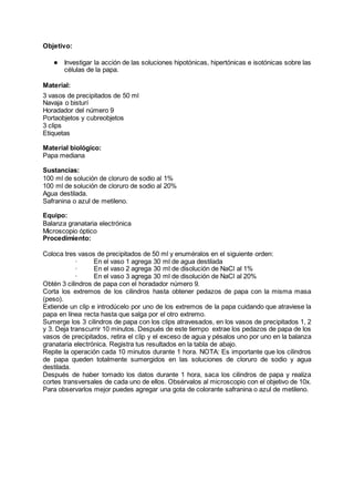 Objetivo:
● Investigar la acción de las soluciones hipotónicas, hipertónicas e isotónicas sobre las
células de la papa.
Material:
3 vasos de precipitados de 50 ml
Navaja o bisturí
Horadador del número 9
Portaobjetos y cubreobjetos
3 clips
Etiquetas
Material biológico:
Papa mediana
Sustancias:
100 ml de solución de cloruro de sodio al 1%
100 ml de solución de cloruro de sodio al 20%
Agua destilada.
Safranina o azul de metileno.
Equipo:
Balanza granataria electrónica
Microscopio óptico
Procedimiento:
Coloca tres vasos de precipitados de 50 ml y enuméralos en el siguiente orden:
· En el vaso 1 agrega 30 ml de agua destilada
· En el vaso 2 agrega 30 ml de disolución de NaCl al 1%
· En el vaso 3 agrega 30 ml de disolución de NaCl al 20%
Obtén 3 cilindros de papa con el horadador número 9.
Corta los extremos de los cilindros hasta obtener pedazos de papa con la misma masa
(peso).
Extiende un clip e introdúcelo por uno de los extremos de la papa cuidando que atraviese la
papa en línea recta hasta que salga por el otro extremo.
Sumerge los 3 cilindros de papa con los clips atravesados, en los vasos de precipitados 1, 2
y 3. Deja transcurrir 10 minutos. Después de este tiempo extrae los pedazos de papa de los
vasos de precipitados, retira el clip y el exceso de agua y pésalos uno por uno en la balanza
granataria electrónica. Registra tus resultados en la tabla de abajo.
Repite la operación cada 10 minutos durante 1 hora. NOTA: Es importante que los cilindros
de papa queden totalmente sumergidos en las soluciones de cloruro de sodio y agua
destilada.
Después de haber tomado los datos durante 1 hora, saca los cilindros de papa y realiza
cortes transversales de cada uno de ellos. Obsérvalos al microscopio con el objetivo de 10x.
Para observarlos mejor puedes agregar una gota de colorante safranina o azul de metileno.
 