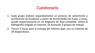 Cuestionario
1. Cada grupo elabore separadamente un proceso de aislamiento y
purificación de levaduras a partir de fermentados de frutas u otros,
puede esquematizarlo en un diagrama de flujo completo. Utilice la
bibliografía colgada en internet. Se formarán 3 grupos de trabajo.
2. Tienen 2 horas para la entrega del informe (ppt, con un máximo de
20 diapositivas).