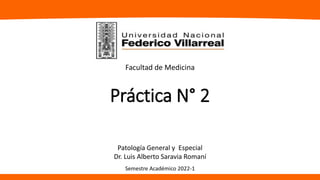 Práctica N° 2
Patología General y Especial
Dr. Luis Alberto Saravia Romaní
Facultad de Medicina
Semestre Académico 2022-1
 