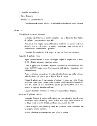 .- Laminillas cubreobjetos
.- Tubos de ensayo
.- Animales de Experimentación
Para el desarrollo de esta práctica, se optó por la utilización de sangre humana.
MÉTODOS
Obtención de la muestra de sangre:
La técnica de obtención de muestra sanguínea que se desarrollo fue: Puntura
de cualquier vaso sanguíneo superficial.
Para eso, la zona elegida (zona del brazo) se desinfecta con alcohol yodado, y
después, una vez de extraer la sangre, protegemos para proteger de la
contaminación el instrumental punzante.
Para evitar la coagulación de la sangre, se hace uso de un anticoagulante.
Recuento de glóbulos rojos
Agitar cuidadosamente el frasco con sangre. Aspirar la sangre hasta la marca
de 0.5 y limpiar cualquier exceso de sangre.
Llenar la pipeta con la solución Hayem´s, quedando así una disolución de la
sangre de 1/200. Luego, sacar el tubo de goma de la pipeta, y mezclamos muy
cuidadosamente.
Poner en contacto una gota en el borde del cubreobjetos que se ha colocado
sobre la cámara, de manera que el líquido llene la cámara.
Colocar la cámara en el microscopio, y localizar el campo de visión. Contar
las células en los cuatro campos de las esquinas el del centro el de 16 cuadritos
cada uno. Incluir en cada cuadrado las células que se encuentran en la línea
superior e izquierda de cada cuadrado.
Calcular el número promedio de células por cada cuadrado pequeño.
Recuento de glóbulos blancos
La técnica de tomar la muestra es la misma que para eritrocitos, pero la pipeta
usada tiene mayor diámetro y cuando se llena con sangre hasta la marca 0,5,
se diluye con la solución de türk, quedando una dilución de 1/20
Colocar el líquido en la cámara y contar los leucocitos de los cuatro mm. De
las esquina, y luego sumarlos.
Realizar el cálculo correspondiente para glóbulos blancos.
 