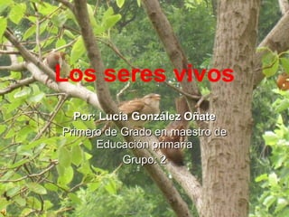 Los seres vivos Por: Lucía González Oñate Primero de Grado en maestro de Educación primaria Grupo: 2 