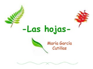 -Las hojas- María García Cutillas 