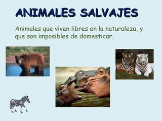 ANIMALES SALVAJES Animales que viven libres en la naturaleza, y que son imposibles de domesticar.  
