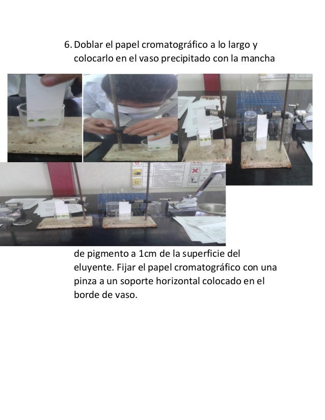 Las máscaras con levadura para la persona que blanquean