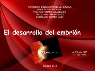 El desarrollo del embrión
REPUBLICA BOLIVARIANA DE VENEZUELA
UNIVERSIDAD YACAMBU
VICE-RECTORADO ACADEMICO
FACULTA DE HUMANDADES
CABUDARE, ESTADO LARA
ALEX VALERA
C.I 16014942
MARZO, 2018
 