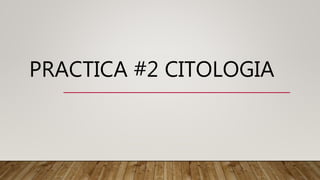 PRACTICA #2 CITOLOGIA
 