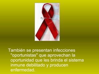 También se presentan infecciones "oportunistas" que aprovechan la oportunidad que les brinda el sistema inmune debilitado y producen enfermedad.  