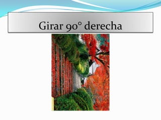 Girar 90° derecha
 