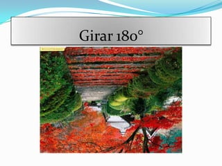 Girar 180°
 