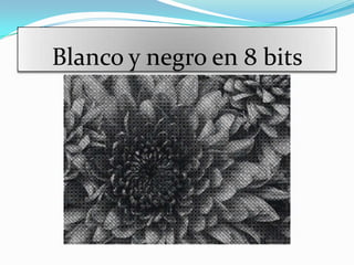 Blanco y negro en 8 bits
 