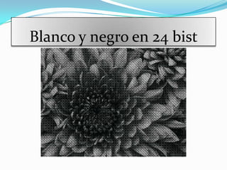 Blanco y negro en 24 bist
 