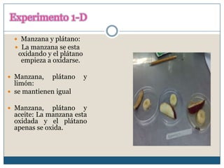 Experimento 1-D
   Manzana y plátano:
   La manzana se esta
   oxidando y el plátano
    empieza a oxidarse.

 Manzana,    plátano      y
  limón:
 se mantienen igual

 Manzana,    plátano y
  aceite: La manzana esta
  oxidada y el plátano
  apenas se oxida.
 
