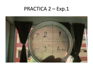 PRACTICA 2 – Exp.1 