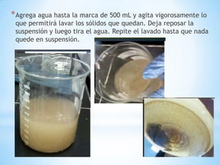*Agrega agua hasta la marca de 500 mL y agita vigorosamente lo
que permitirá lavar los sólidos que quedan. Deja reposar la
suspensión y luego tira el agua. Repite el lavado hasta que nada
quede en suspensión.
 