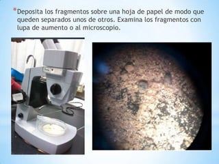 *Deposita los fragmentos sobre una hoja de papel de modo que
queden separados unos de otros. Examina los fragmentos con
lupa de aumento o al microscopio.
 