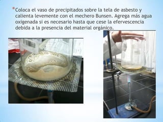 *Coloca el vaso de precipitados sobre la tela de asbesto y
calienta levemente con el mechero Bunsen. Agrega más agua
oxigenada si es necesario hasta que cese la efervescencia
debida a la presencia del material orgánico.
 