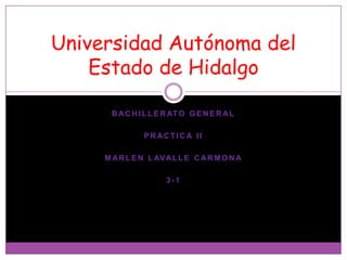 Universidad Autónoma del
    Estado de Hidalgo

      B A C H I L L E R AT O G E N E R A L

               PRACTICA II

     M A R L E N L AVA L L E C A R M O N A

                      3-1
 