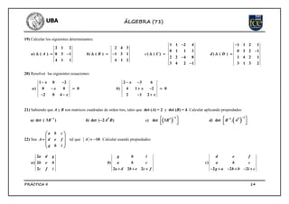 Practica 2 matrices 2018 | PDF