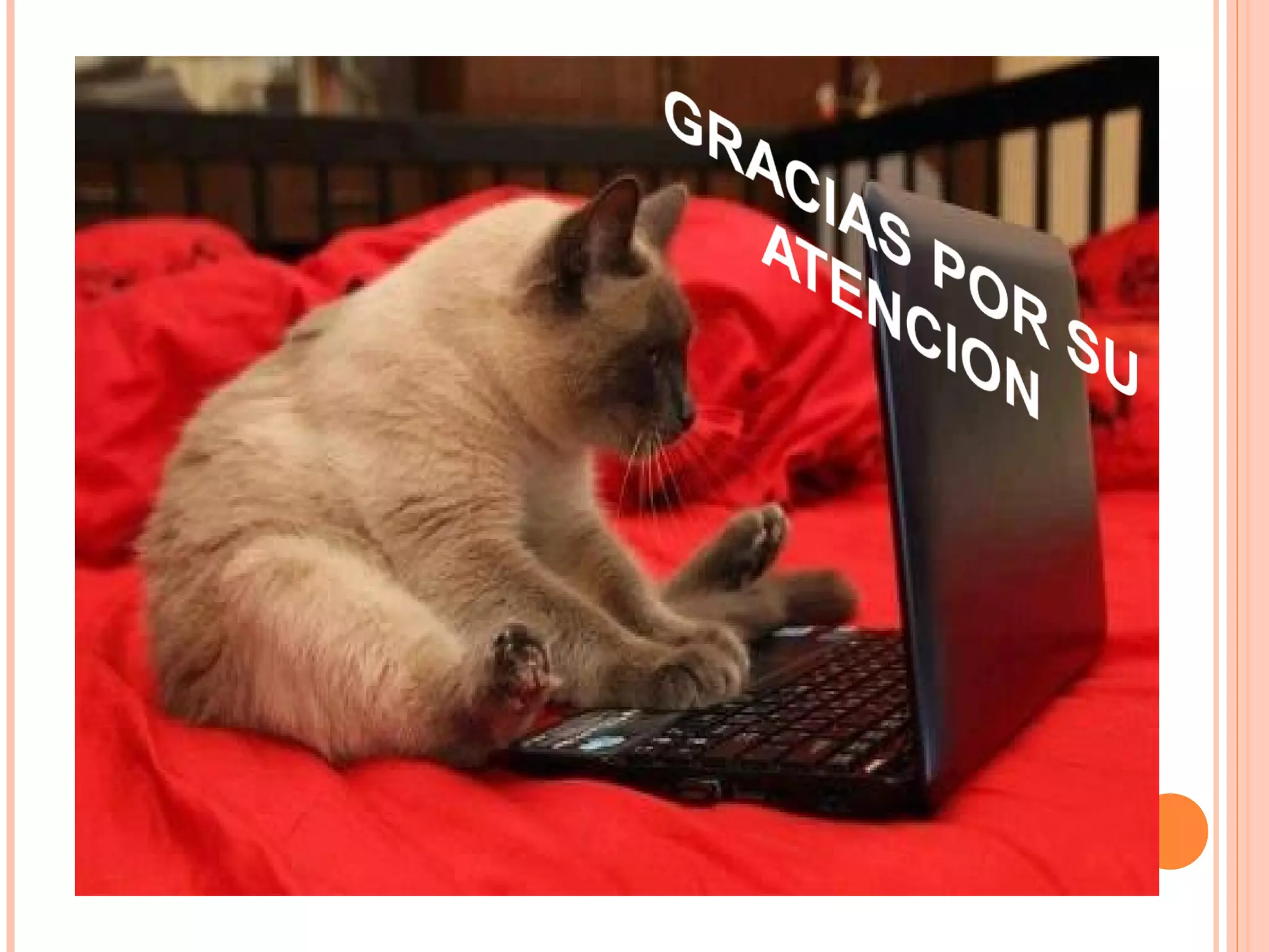 Practica 2 original 1