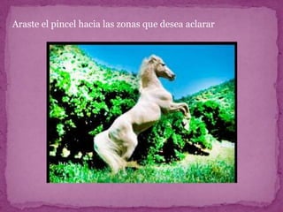 Araste el pincel hacia las zonas que desea aclarar
 