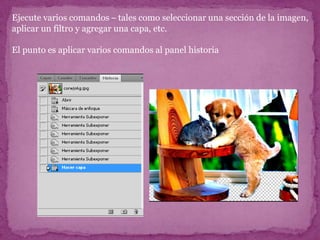 Ejecute varios comandos – tales como seleccionar una sección de la imagen,
aplicar un filtro y agregar una capa, etc.

El punto es aplicar varios comandos al panel historia
 