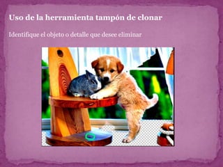 Uso de la herramienta tampón de clonar

Identifique el objeto o detalle que desee eliminar
 