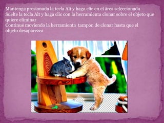Mantenga presionada la tecla Alt y haga clic en el área seleccionada
Suelte la tecla Alt y haga clic con la herramienta clonar sobre el objeto que
quiere eliminar
Continué moviendo la herramienta tampón de clonar hasta que el
objeto desaparezca
 