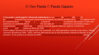 El Oso Panda O Panda Gigante 
El oso panda o panda gigante (Ailuropoda melanoleuca) es una especie de mamífero del orden de 
los carnívoros y aunque hay una gran controversia al respecto, los últimos estudios de su ADN lo engloban entre 
los miembros de la familia de los osos(Ursidae), siendo el oso de anteojos su pariente más cercano, si bien este 
pertenece a la subfamilia de los tremarctinos. Por otro lado, el panda rojo pertenece a una familia propia e 
independiente; Ailuridae. Nativo de China central, el panda gigante habita en regiones montañosas 
como Sichuan y el Tíbet, hasta una altura de 3500 msnm. 
Está en peligro de extinción; la especie está muy localizada. Con 1600 ejemplares viviendo en las selvas y 188 en 
cautiverio (estadísticas 2004 - 2005), informes demuestran que la cifra de pandas viviendo en libertad va en 
aumento. El oso panda es el símbolo de WWF (Fondo mundial para la protección de la naturaleza) desde 1961. 
 